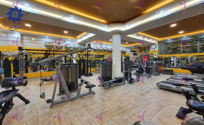 عوامل تاثیرگذار در قیمت بیمه 